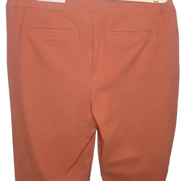 Chico's So Slimming Textured Desert Coral Slim Leg Pant / Size 3T - US Size 16T - Picture 5 of 10